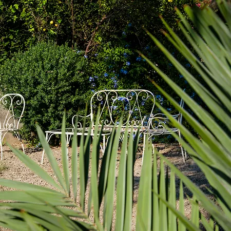 La Del Postino Hotel Pollara